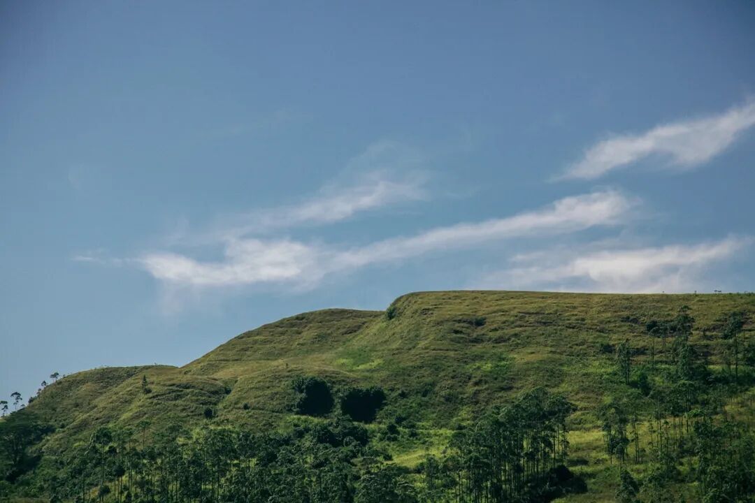 640?wx_fmt=jpeg&tp=webp&wxfrom=5&wx_lazy=1&wx_co=1