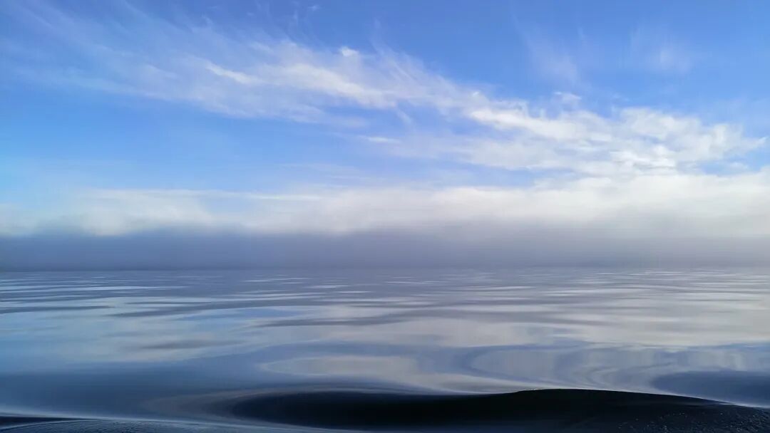 640?wx_fmt=jpeg&tp=webp&wxfrom=5&wx_lazy=1&wx_co=1