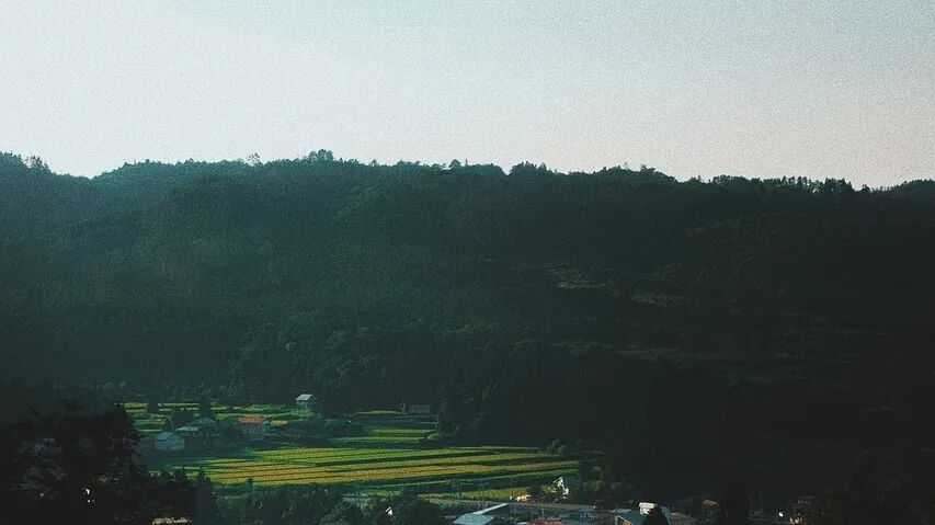 640?wx_fmt=jpeg&tp=webp&wxfrom=5&wx_lazy=1&wx_co=1