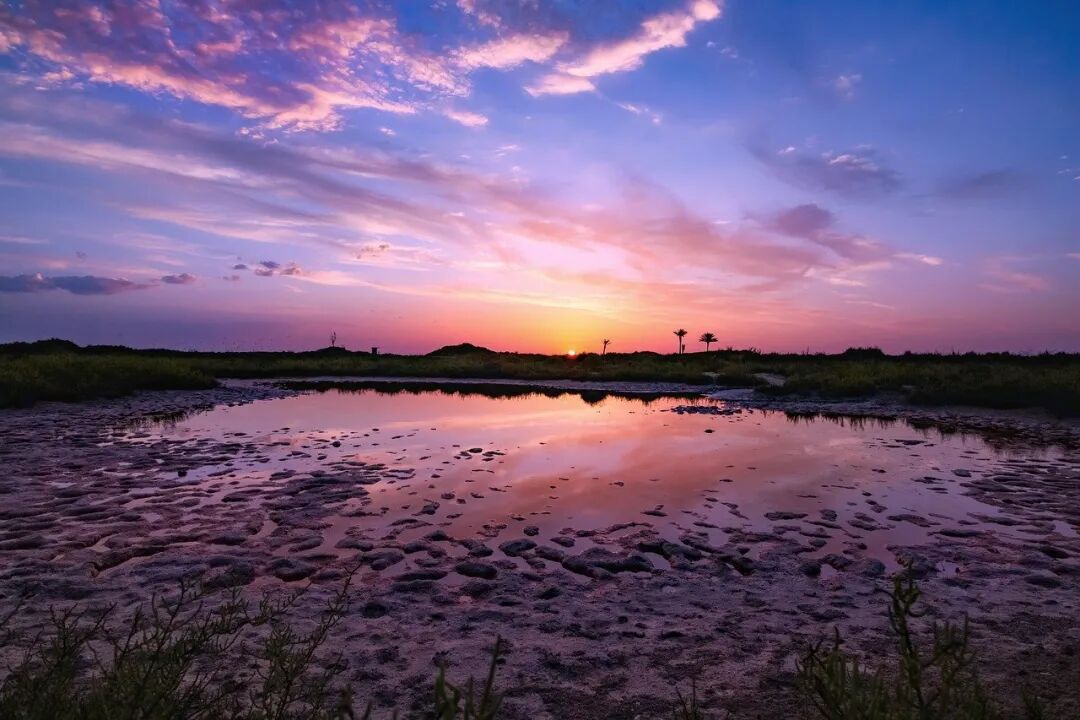 640?wx_fmt=jpeg&tp=webp&wxfrom=5&wx_lazy=1&wx_co=1