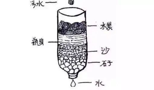 生存英文单词_生存英文survive_生存的英文