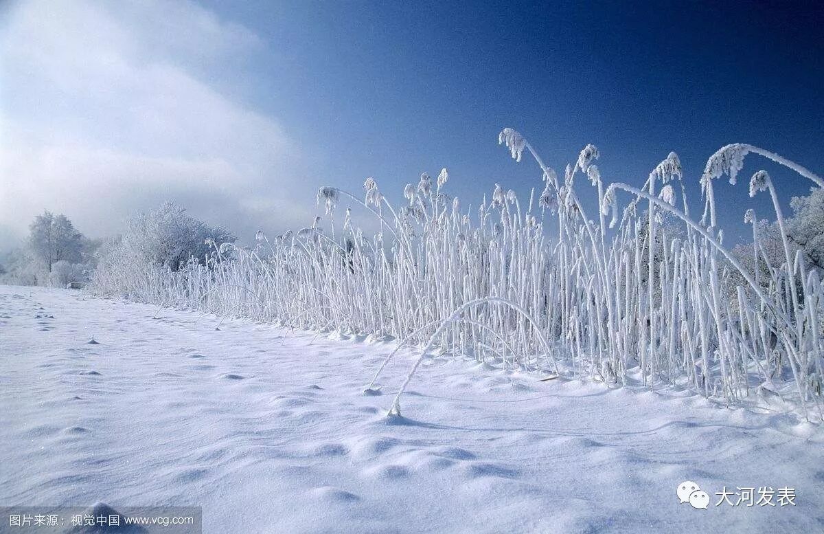 恍惚天地时空转 却道花开待明年 晴空万里月半弯 风雪亦度星期天 东边