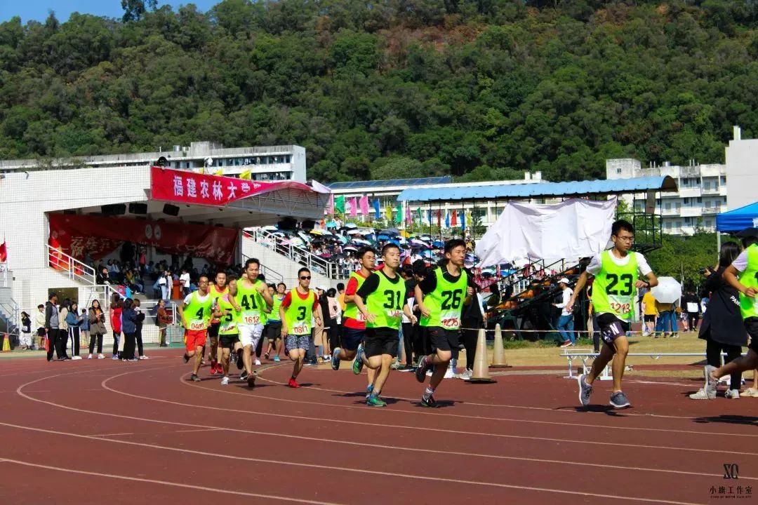 福建农林大学招生网_福建省农林大学招生网_福建农林大学招生官网网址