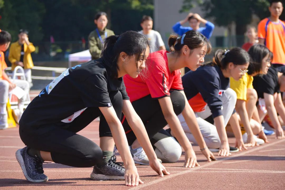 福建省农林大学招生网_福建农林大学招生网_福建农林大学招生官网网址