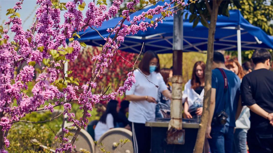 剛簽約！海寧要在這網紅景區新打造一個基地！市民有福了 旅遊 第15張