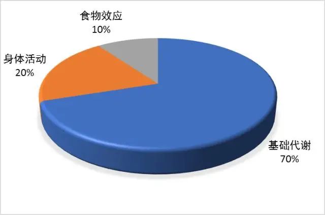 10种方法教你提高基础代谢，想不瘦都难！