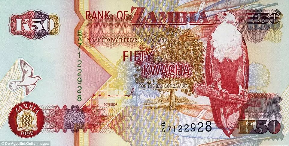 这是一张1992年发行的赞比亚克瓦查币,树枝上休息的巨鹰和左边飞来的