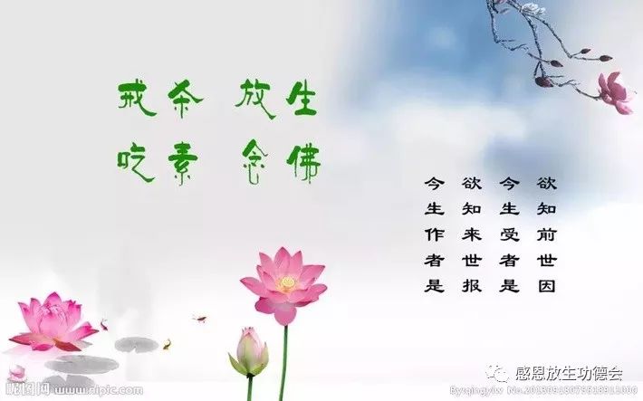 放生是最大善事，能为父母放生则是天下第一善事