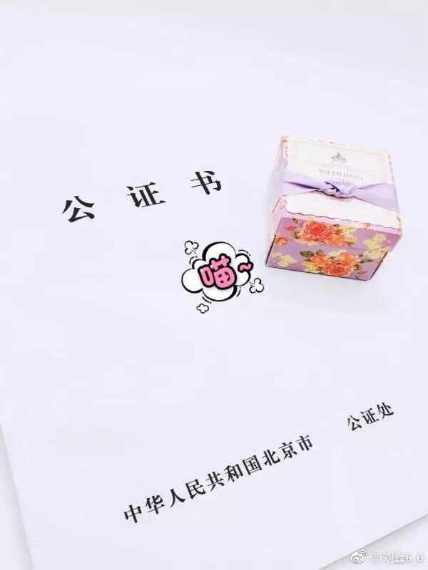 刘鑫刚刚干了一件让网友唾弃的事，微博炫耀和江歌的“闺蜜情”！ - 12