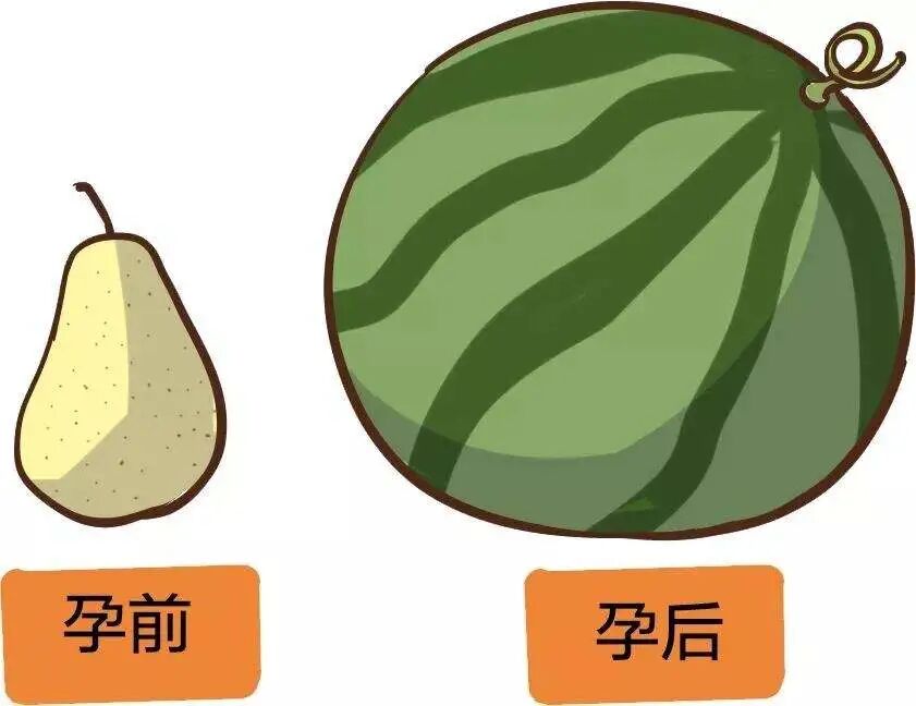 子宫复旧，产后恢复的“头等大事”！