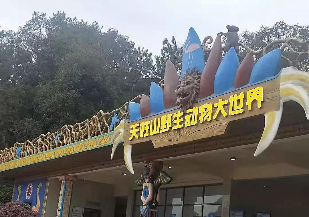 漳州天柱山动物园图片