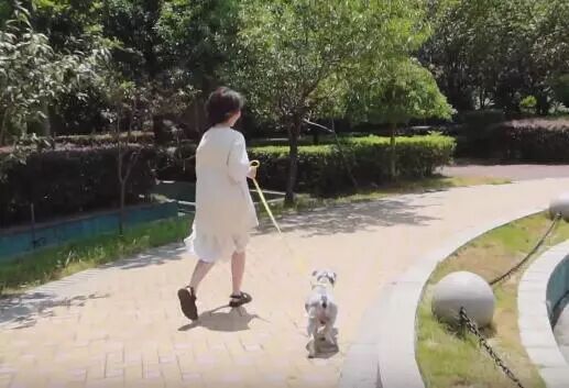 



燃烧吧！剁椒鱼头！！
