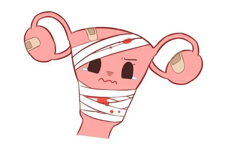 妇科流体敷料怎么用妇科炎症乱用药，反复发作危害大！锦露®妇科流体敷料调节阴道微生态，预防炎症发生!_https://www.jmylbn.com_新闻资讯_第11张