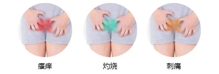 妇科流体敷料怎么用妇科炎症乱用药，反复发作危害大！锦露®妇科流体敷料调节阴道微生态，预防炎症发生!_https://www.jmylbn.com_新闻资讯_第2张