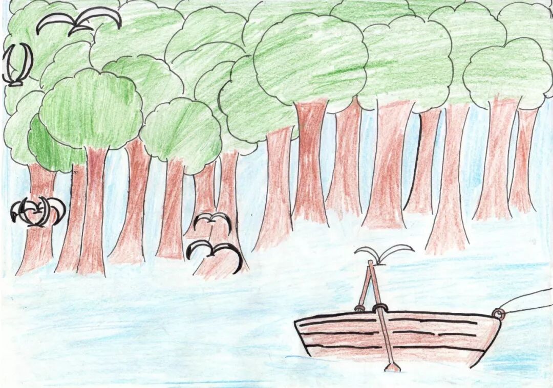 讲诉了一个个"我与红树林的故事"近百幅红树林儿童画用细腻的笔触厦门