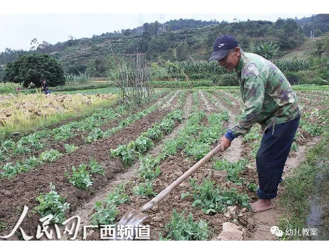 儿歌教案怎么写_以一首儿歌写教案_中班儿歌教案附儿歌