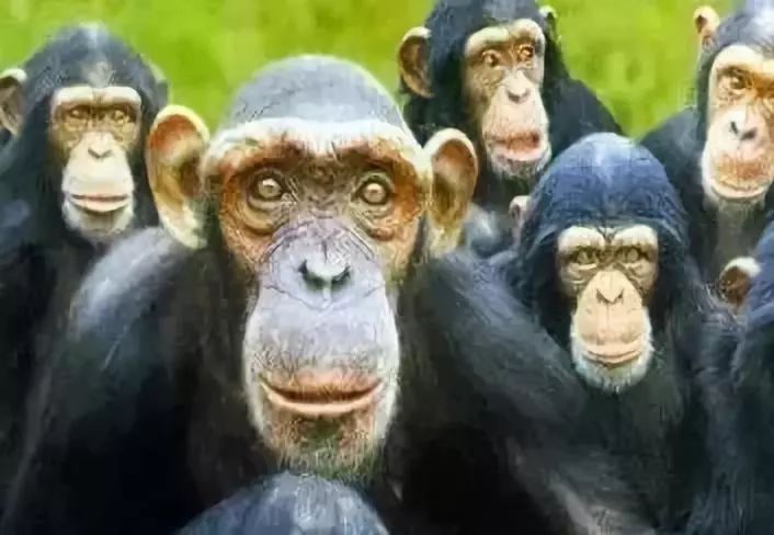 恐怖揭秘：愛滋病「0號病人」是替罪羊？ 靈異 第1張