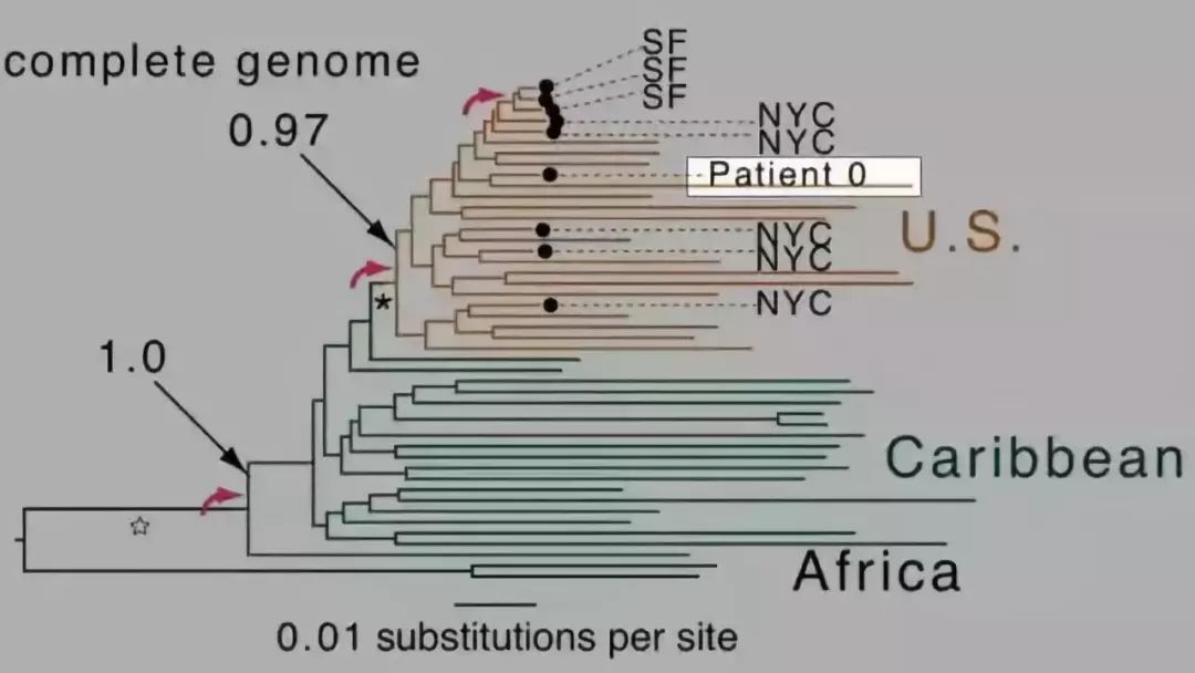 恐怖揭秘：愛滋病「0號病人」是替罪羊？ 靈異 第25張