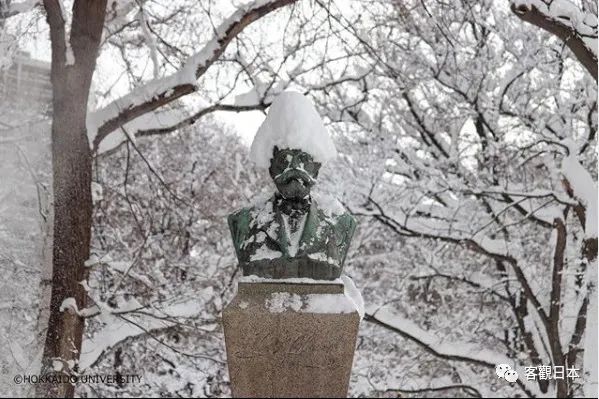 日本的大学 六 北海道大学 生生不息的开拓精神 北海新闻