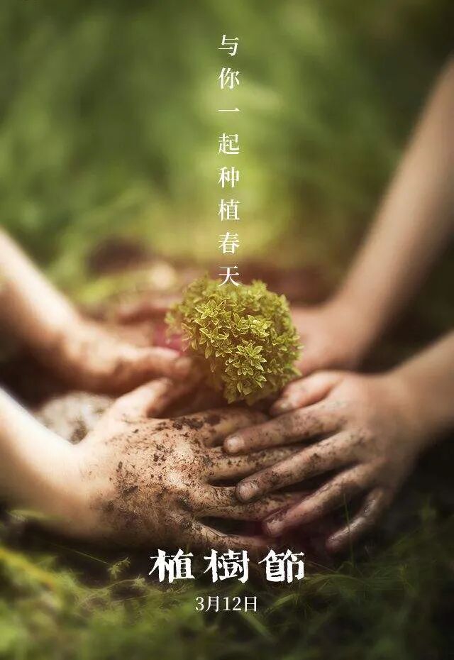 写在植树节来临之际 | 生态文明树长青，仪器仪表来助力