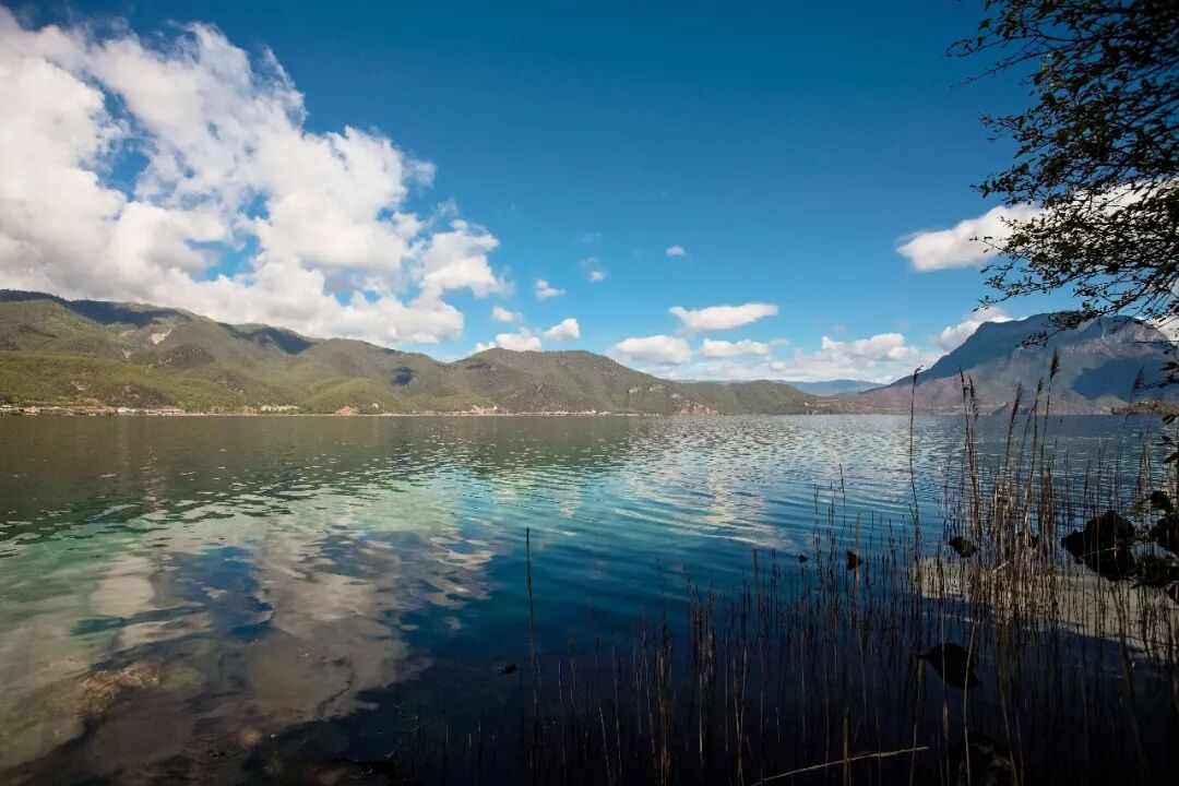 未来水环境监测的“着力点”少不了这些！