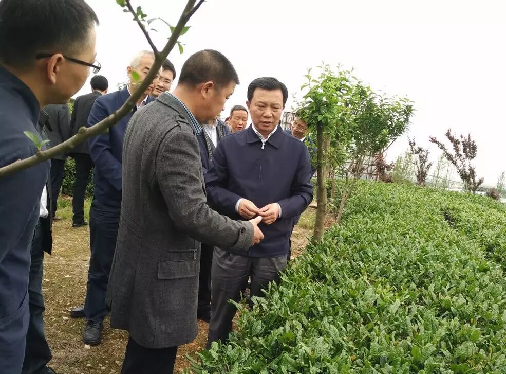 看哭!组织部长杨汉军生命的最后13天