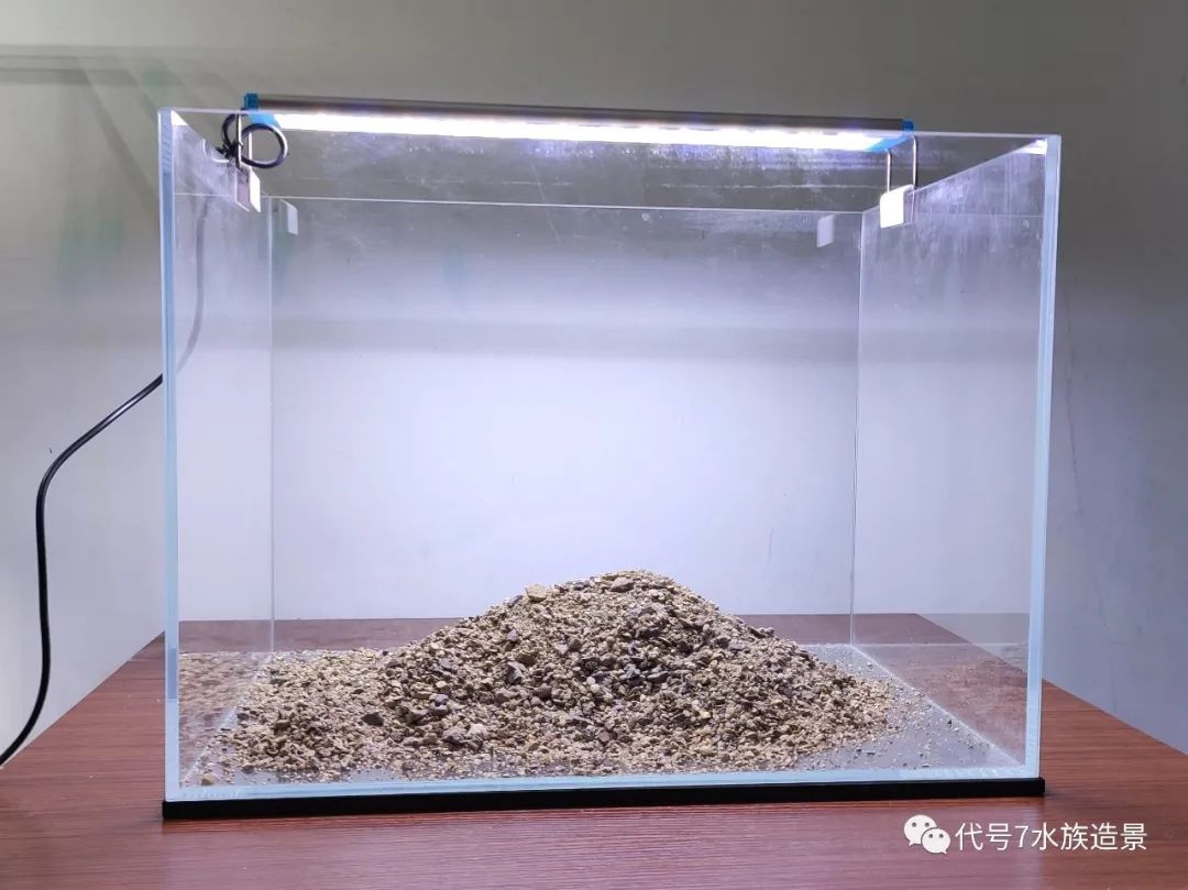 原生鱼专业_原生鱼什么意思_原生鱼好不好养