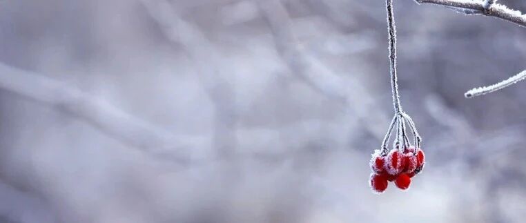 二十四节气 | 冬至如大年，进补御寒最重要。