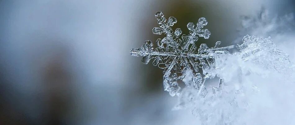 节气 | 小雪到，天气转凉，多吃些温补美食吧！