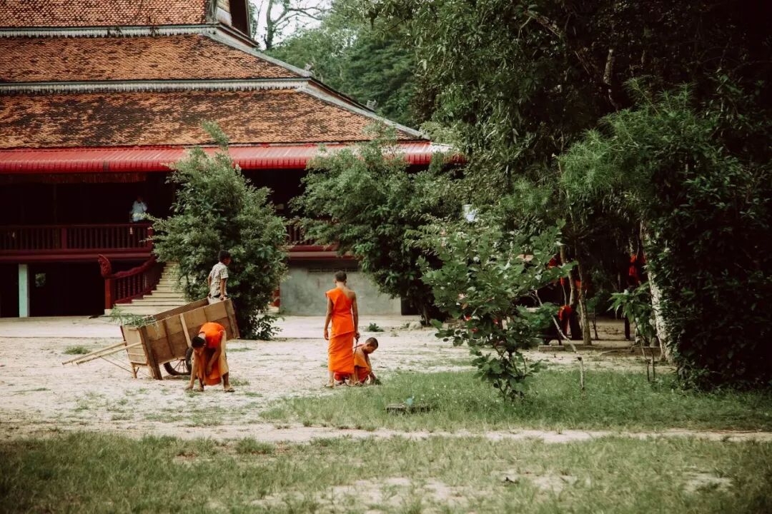 640?wx_fmt=jpeg&tp=webp&wxfrom=5&wx_lazy=1&wx_co=1