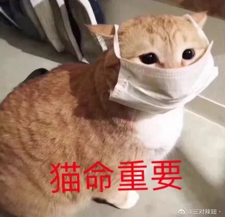 加拿大这家知名华人超市太坑！售卖过期洗手液、天价口罩（组图） - 1