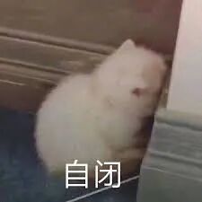 疯狂！疫情期间西人大爷大妈商场聚集跳广场舞，全都不戴口罩，被开罚单还欢呼（视频/组图） - 1