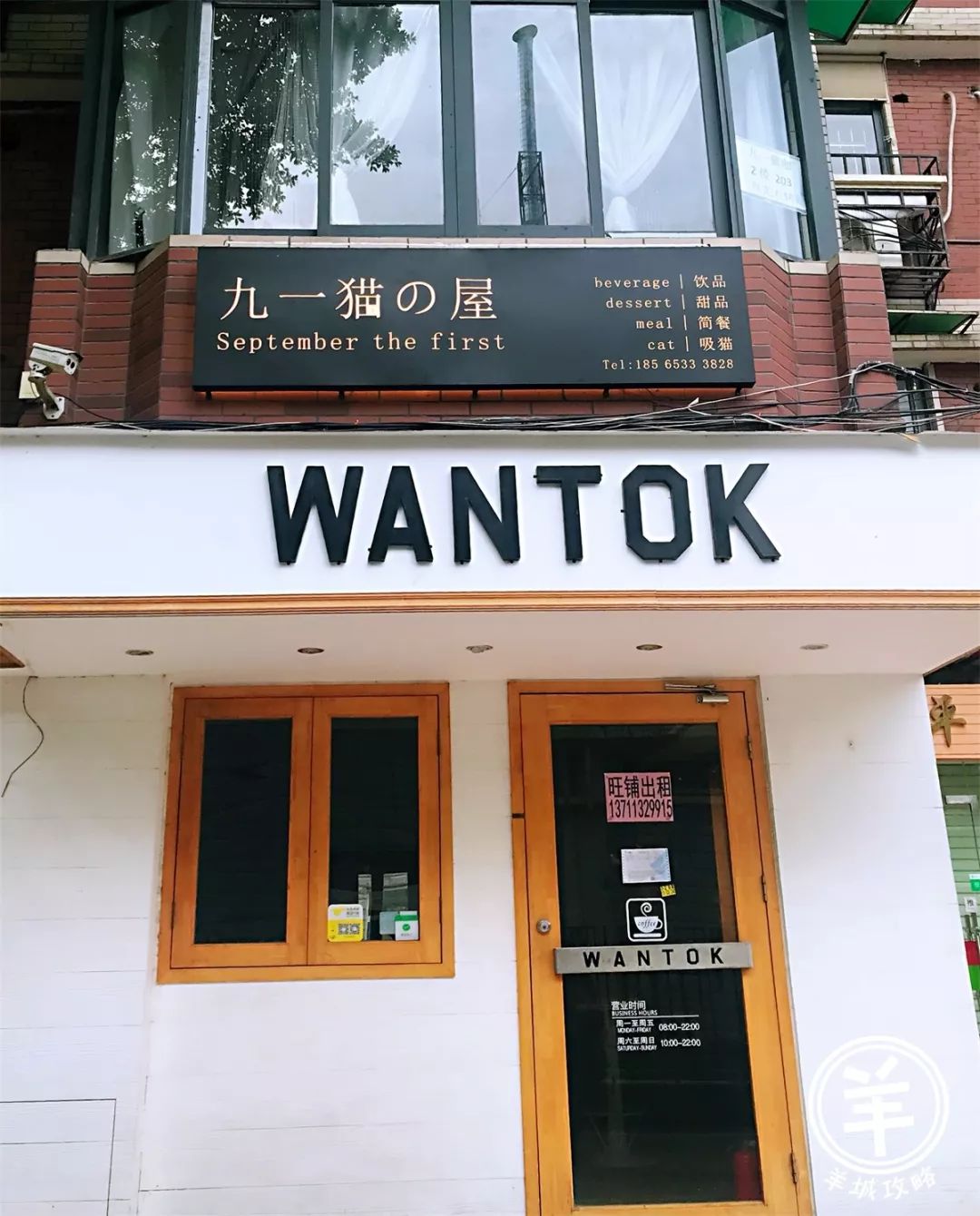 貓奴必入!下班就能去打卡的廣州高顏值貓咖吸貓攻略,超萌超治愈! 寵物 第56張-尋夢寵物 貓奴必入!下班就能去打卡的廣州高顏值貓咖吸貓攻略,超萌超治愈! 寵物 第56張