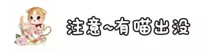 貓奴必入!下班就能去打卡的廣州高顏值貓咖吸貓攻略,超萌超治愈! 寵物 第7張-尋夢寵物 貓奴必入!下班就能去打卡的廣州高顏值貓咖吸貓攻略,超萌超治愈! 寵物 第7張