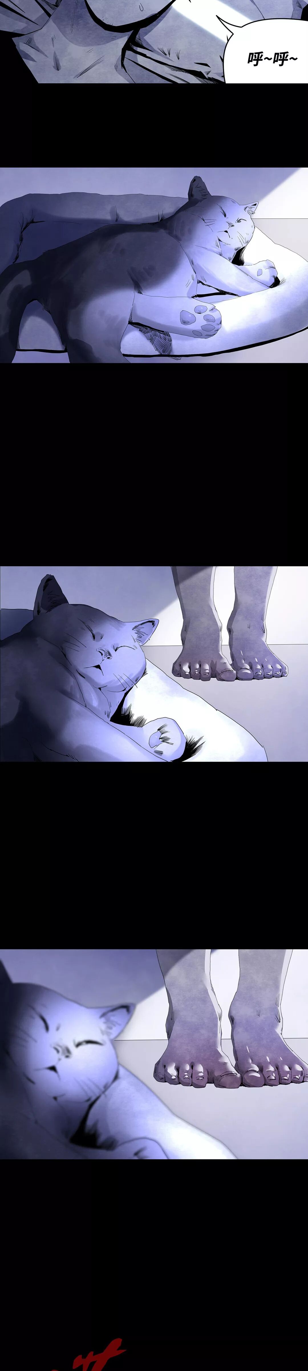 ͼƬ