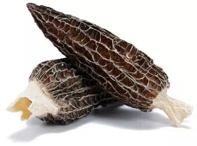 【羊肚菌功效】羊肚菌是食物中的“软黄金”，男人女人都一定要知