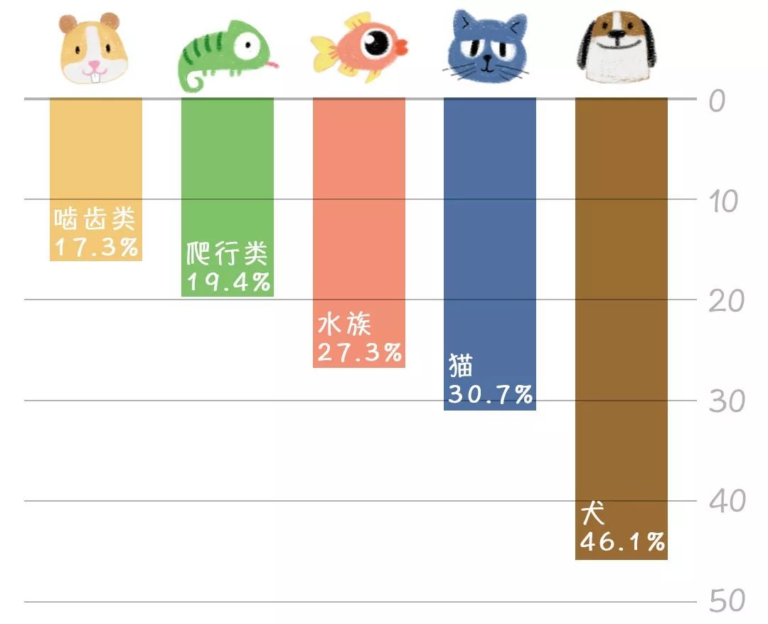 你家那位不愛洗澡？也許是沐浴露的鍋 寵物 第3張