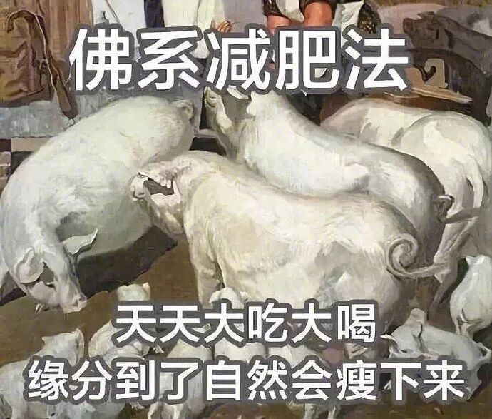 黄瓜鸡蛋一周瘦了15斤_黄瓜鸡蛋瘦身方法_黄瓜鸡蛋减肥餐怎么做