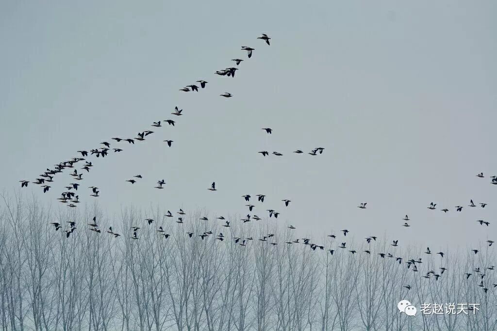 己烷和正己烷有区别吗_吡啶和正己烷沸点_正己烷密度
