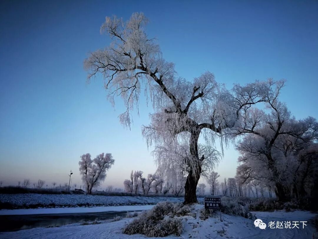 己烷和正己烷有区别吗_吡啶和正己烷沸点_正己烷密度