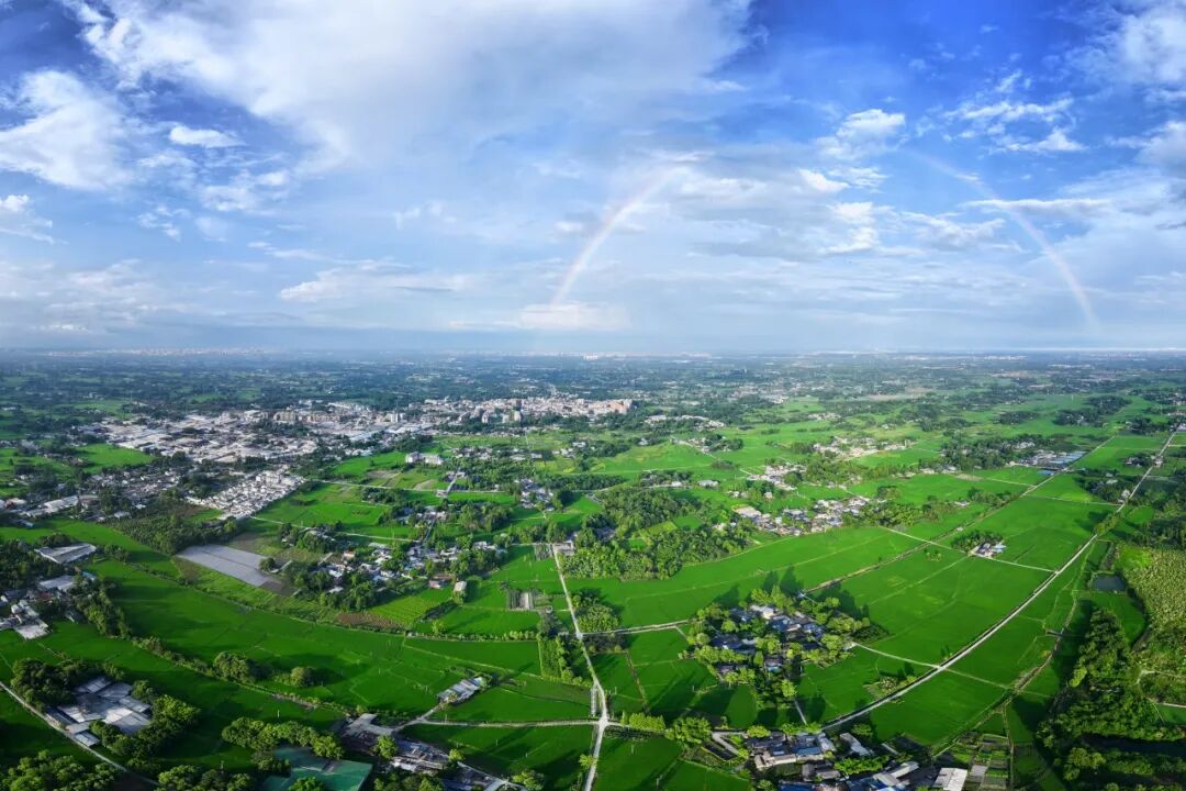 🤳原来夏天的成都，要这么追插图51