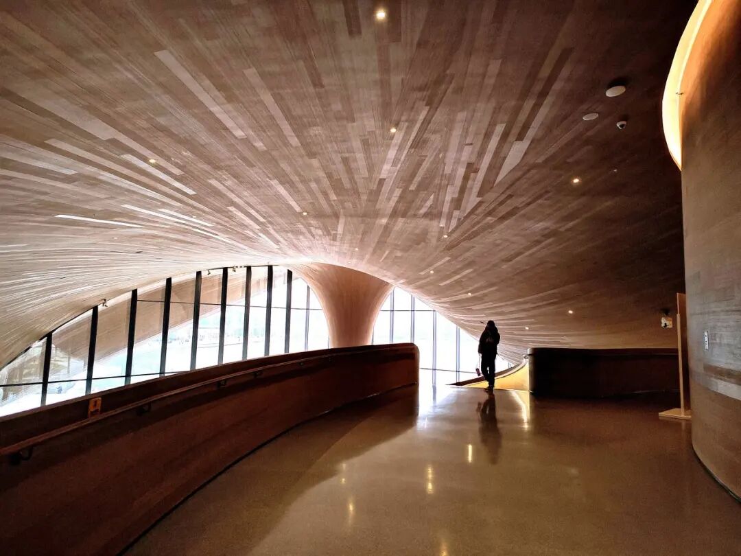 🤳原来夏天的成都，要这么追插图71