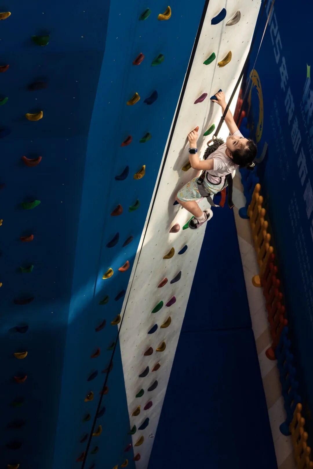 🤳原来夏天的成都，要这么追插图45