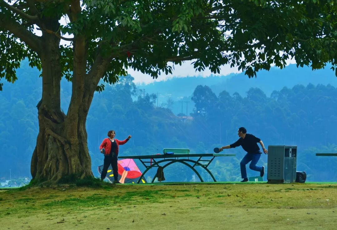 🤳原来夏天的成都，要这么追插图66