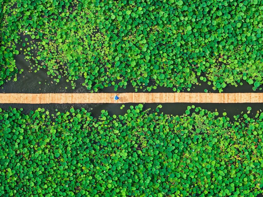 🤳原来夏天的成都，要这么追插图58