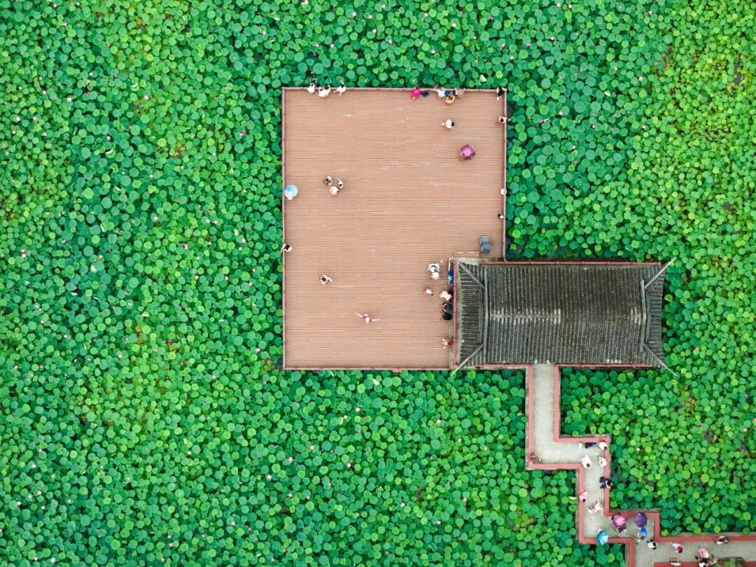 🤳原来夏天的成都，要这么追插图56