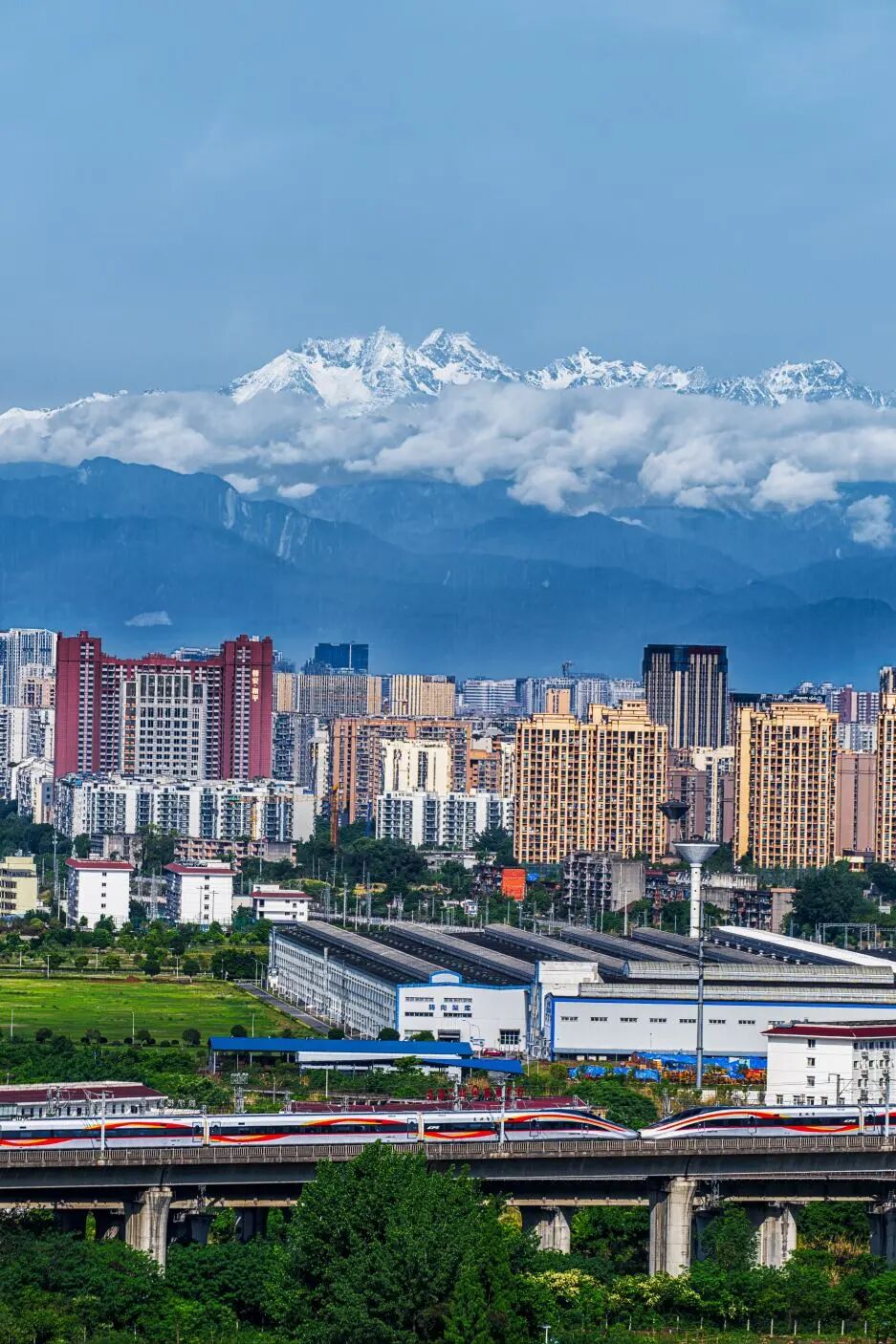 🤳原来夏天的成都，要这么追插图39