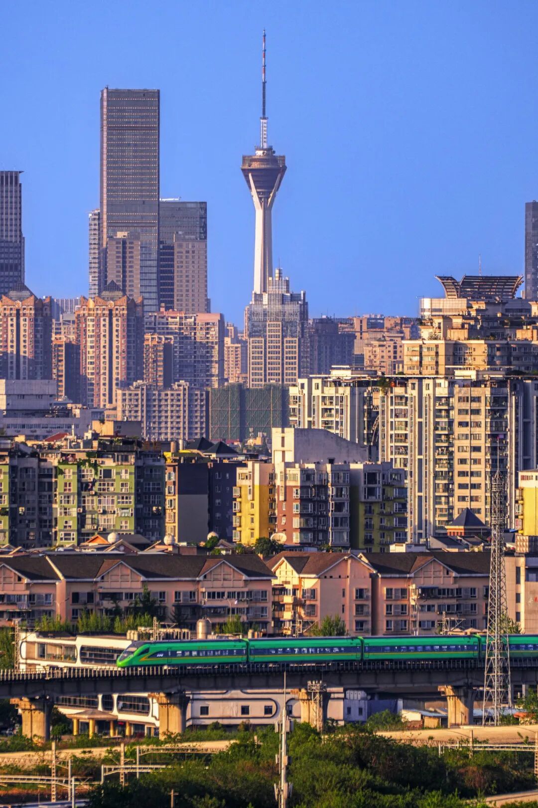 🤳原来夏天的成都，要这么追插图41