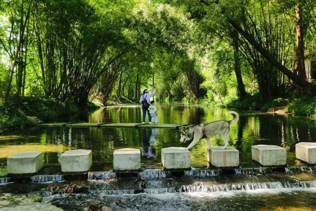 🤳原来夏天的成都，要这么追插图16