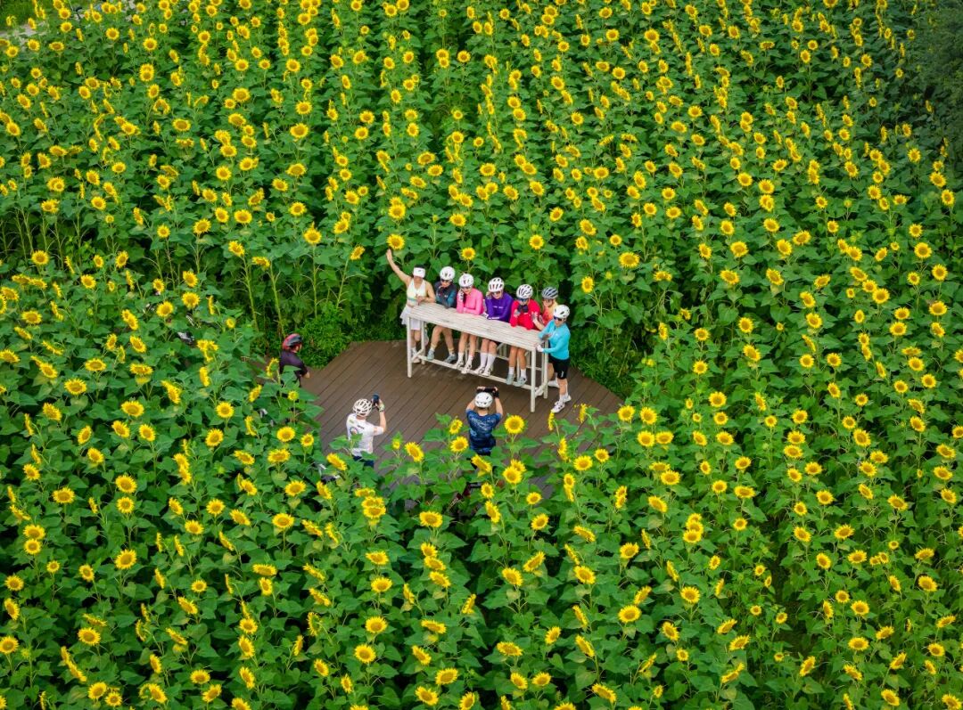 🤳原来夏天的成都，要这么追插图37